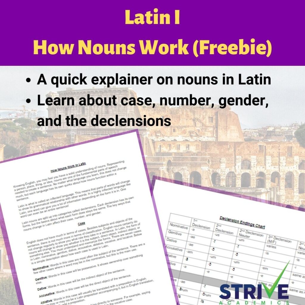 How Nouns Work in Latin Strive Academics